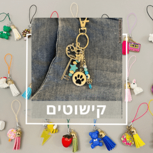 אקססוריז